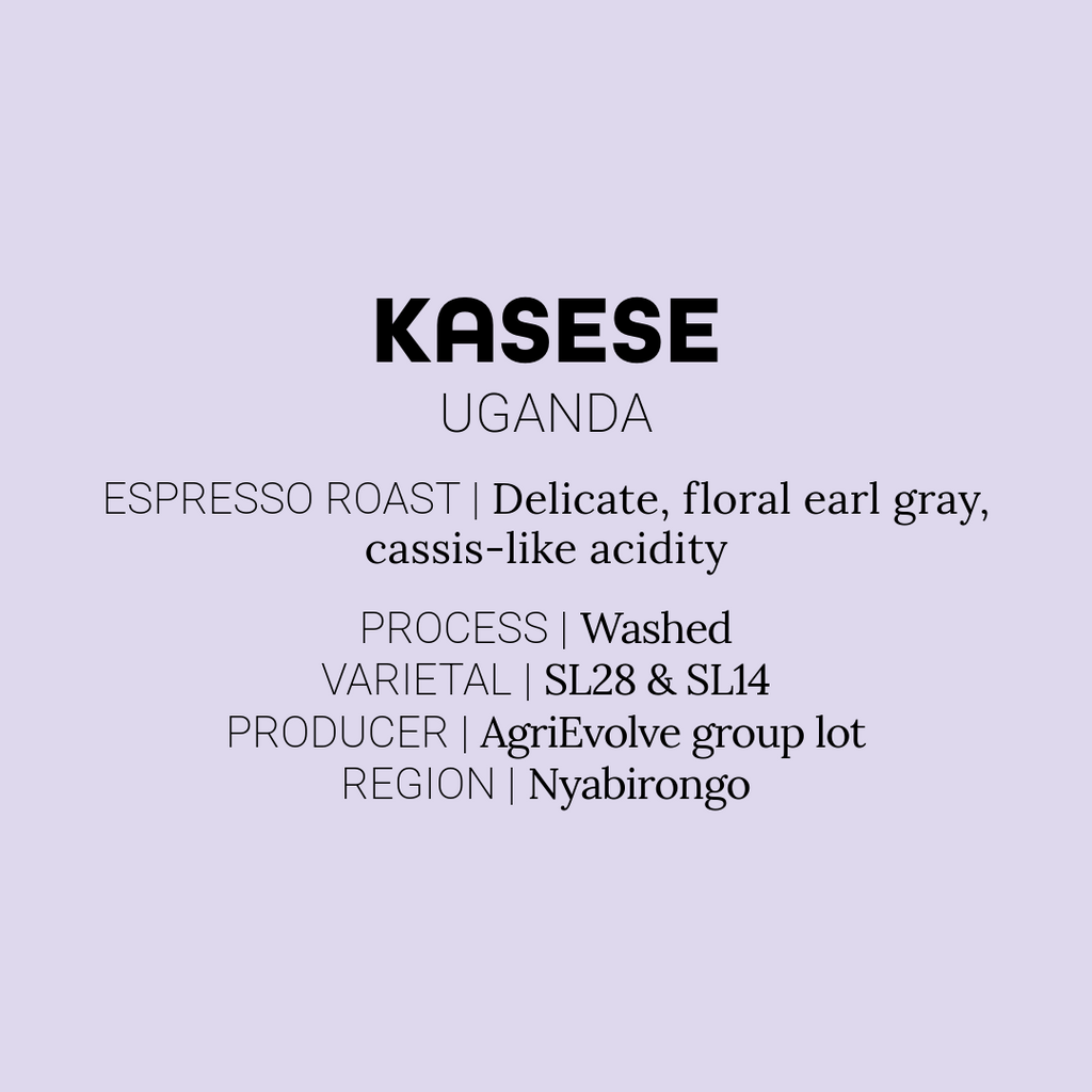 Kasese