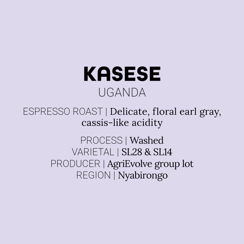 Kasese