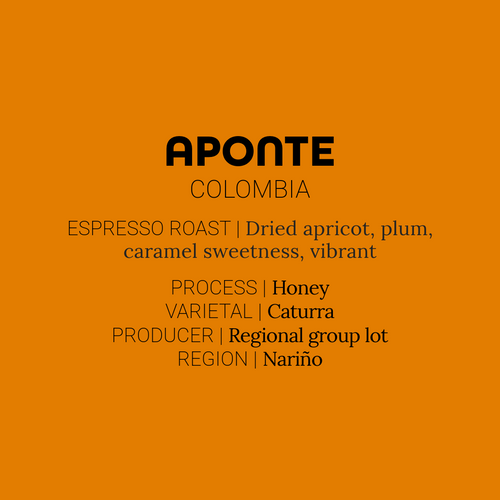 Aponte
